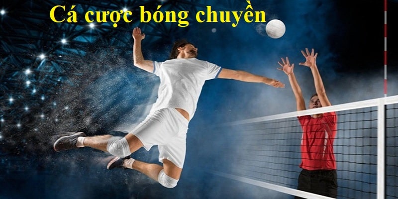 Nắm vững luật chơi cá cược bóng chuyền tại OK9