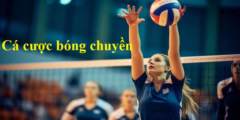 Những chiến thuật cá cược hay